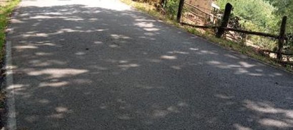 7500m² Land in Lena, Spain No. 183055 6