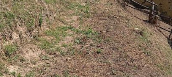 7500m² Land in Lena, Spain No. 183055 3