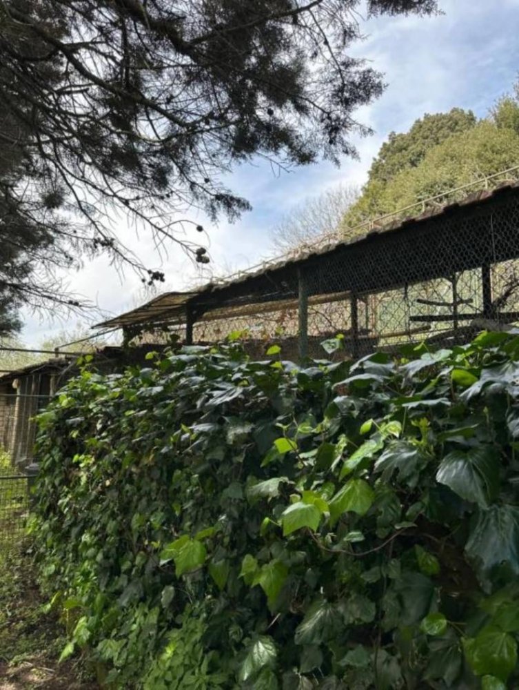 2 chambres Villa à Morlupo, Italy No. 100460