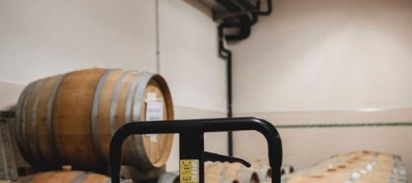 2000m² Land in Diano d'Alba, Italy No. 283809 11