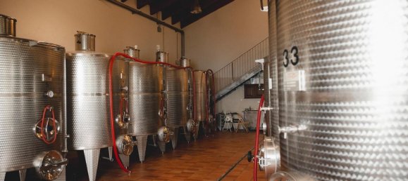 2000m² Land in Diano d'Alba, Italy No. 283809 12