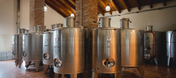 2000m² Land in Diano d'Alba, Italy No. 283809 8