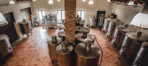 2000m² Land in Diano d'Alba, Italy No. 283809 13