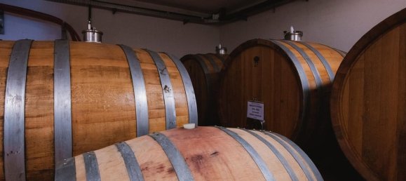 2000m² Land in Diano d'Alba, Italy No. 283809 5