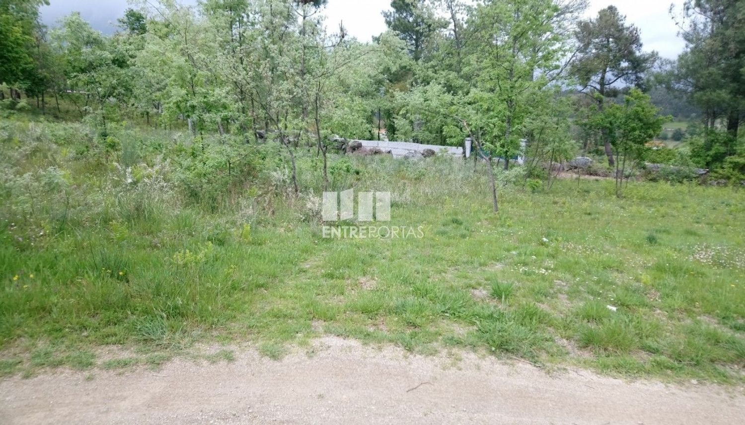  قطعة أرض في Baiao, Portugal 15000متر مربع رقم 56092