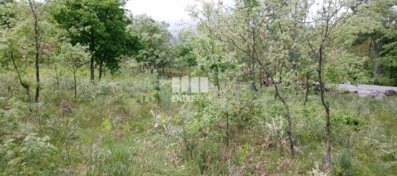 قطعة أرض في Baiao, Portugal 15000متر مربع رقم 56092 2