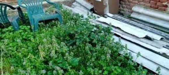 2 bedrooms Apartment in Vigevano, Italy No. 282918 12