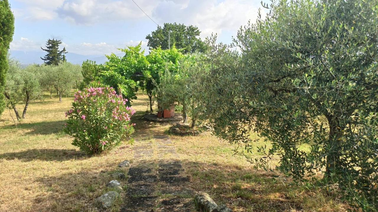 10040m² Land in Scandicci, Italy No. 124134
