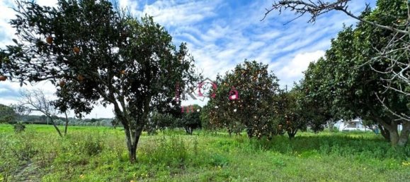 2 غرف نوم منزل في Sines, Portugal رقم 78574 13