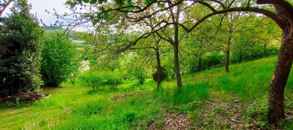 6 rooms House in Vinchio, Italy No. 2088 18