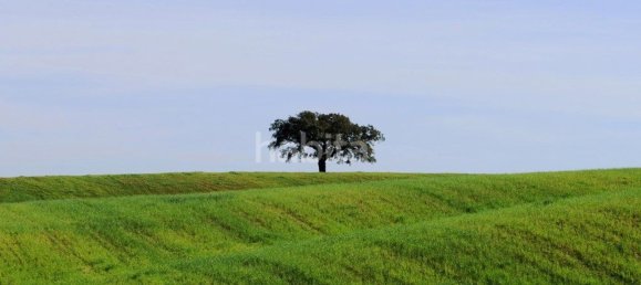 4 غرف نوم منزل في Santiago do Cacem, Portugal رقم 99349 20