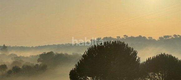 4 غرف نوم منزل في Santiago do Cacem, Portugal رقم 99349 19