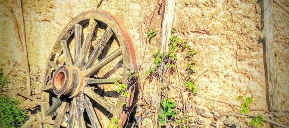 4 غرف نوم منزل في Santiago do Cacem, Portugal رقم 99349 17