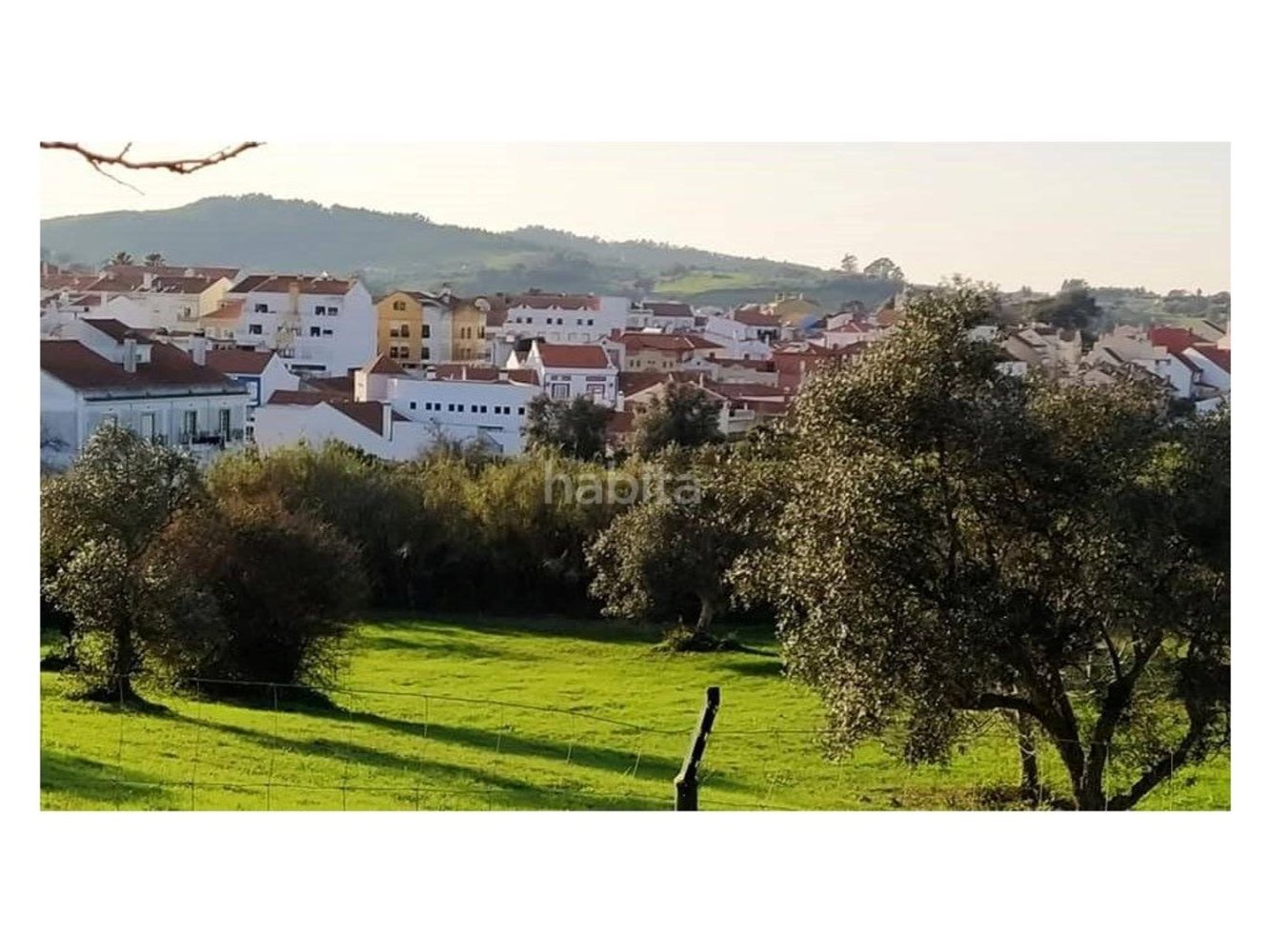4 غرف نوم منزل في Santiago do Cacem, Portugal رقم 99349