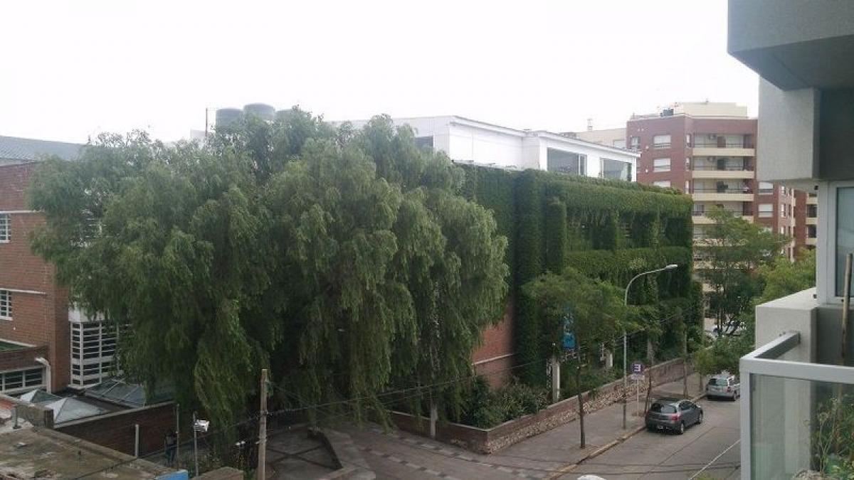 Studio in Mar del Plata, Argentina, Nr. 85373