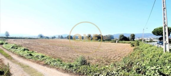 18500m² Land in Vila Nova de Famalicao, Portugal No. 36602 2
