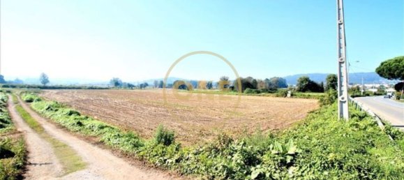 18500m² Land in Vila Nova de Famalicao, Portugal No. 36602 5