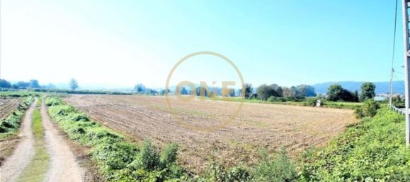 18500m² Land in Vila Nova de Famalicao, Portugal No. 36602 6