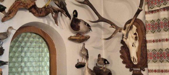 3-salle Maison à Eisenstadt, Austria No. 233597 13