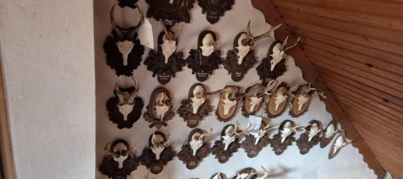 3-salle Maison à Eisenstadt, Austria No. 233597 11