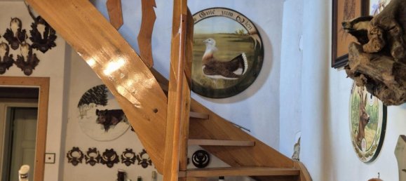 3-salle Maison à Eisenstadt, Austria No. 233597 12