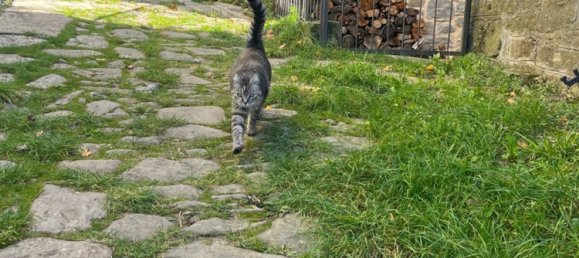 Studio in Camugnano, Italy No. 267366 27