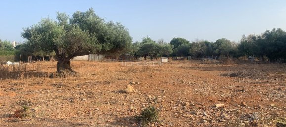 Grundstück in Tavira, Portugal 5580m², Nr. 283566 4