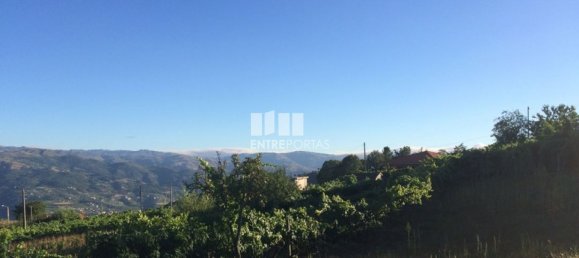  قطعة أرض في Baiao, Portugal 4900متر مربع رقم 50623 20