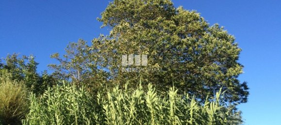  قطعة أرض في Baiao, Portugal 4900متر مربع رقم 50623 19