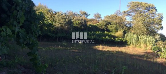  قطعة أرض في Baiao, Portugal 4900متر مربع رقم 50623 24