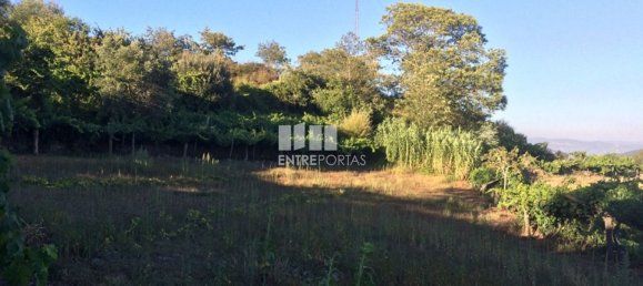  قطعة أرض في Baiao, Portugal 4900متر مربع رقم 50623 6