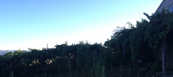  قطعة أرض في Baiao, Portugal 4900متر مربع رقم 50623 13