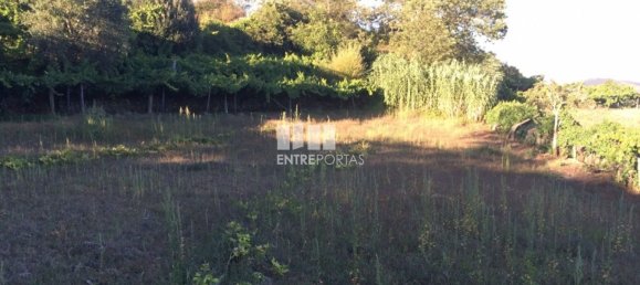  قطعة أرض في Baiao, Portugal 4900متر مربع رقم 50623 15