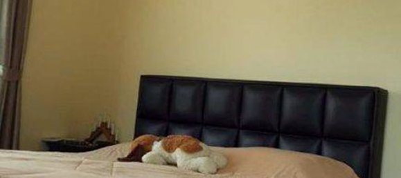 3 bedrooms Cafe / restaurant in Pattaya, Thailand No. 660 12