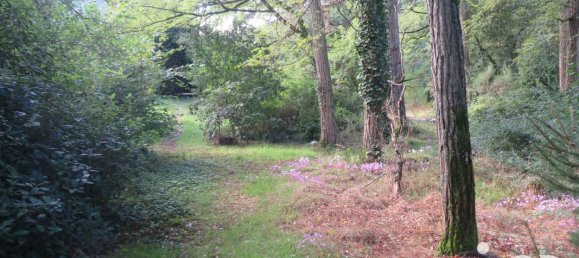 4 bedrooms House in Villefranche-sur-Cher, France No. 154907 27