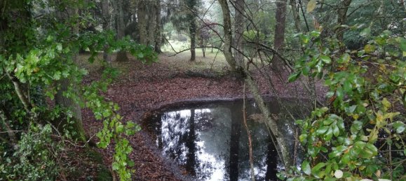 4 bedrooms House in Villefranche-sur-Cher, France No. 154907 30