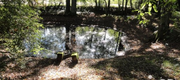 4 bedrooms House in Villefranche-sur-Cher, France No. 154907 11