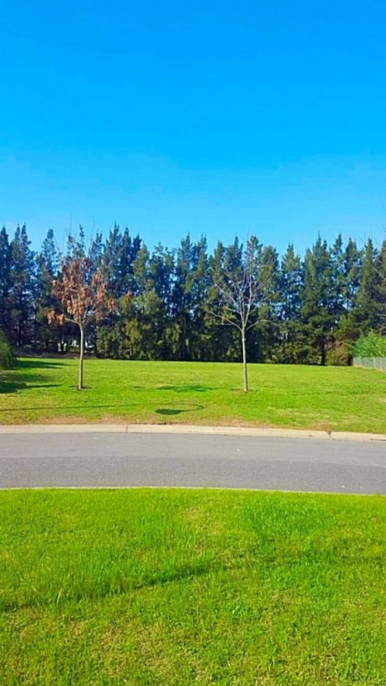  Land in Tigre, Argentina No. 36082