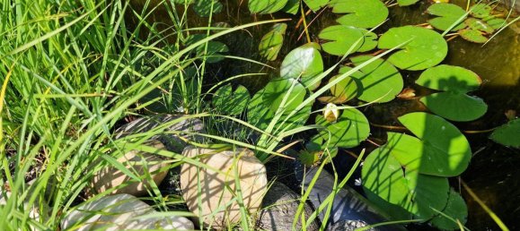 Дом с 3 спальнями в Матцендорф-Хёллес, Австрия № 133768 25