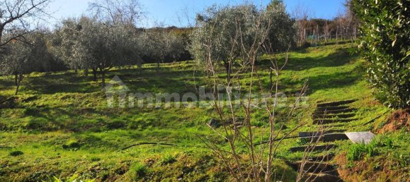 5 Schlafzimmer Villa in Pietrasanta, Italy, Nr. 278274 38