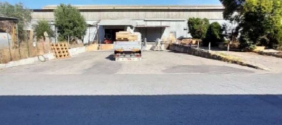  بناية في Pomezia, Italy 47560متر مربع رقم 277782 2