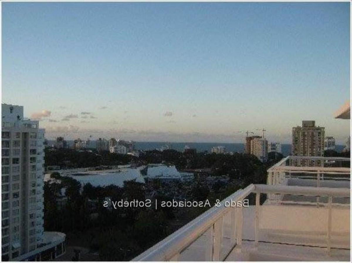 3 Schlafzimmer Wohnung in Punta del Este, Uruguay, Nr. 10053