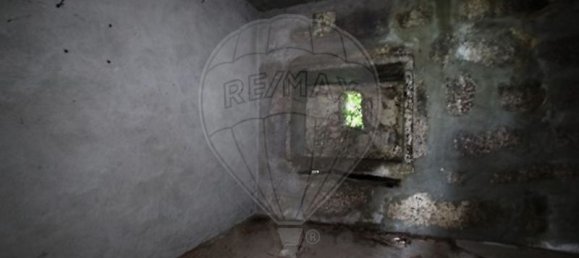 3 غرف نوم منزل في Cantelaes, Portugal رقم 42581 7