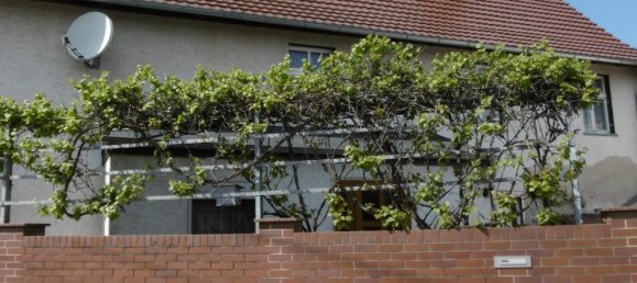 Casa de 8 divisões em Wittenberg, Germany N.º 177132 11