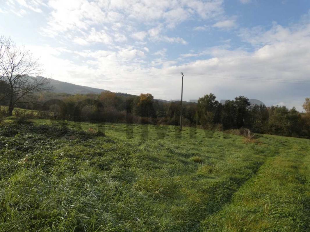  Land in Verdalle, France No. 113116