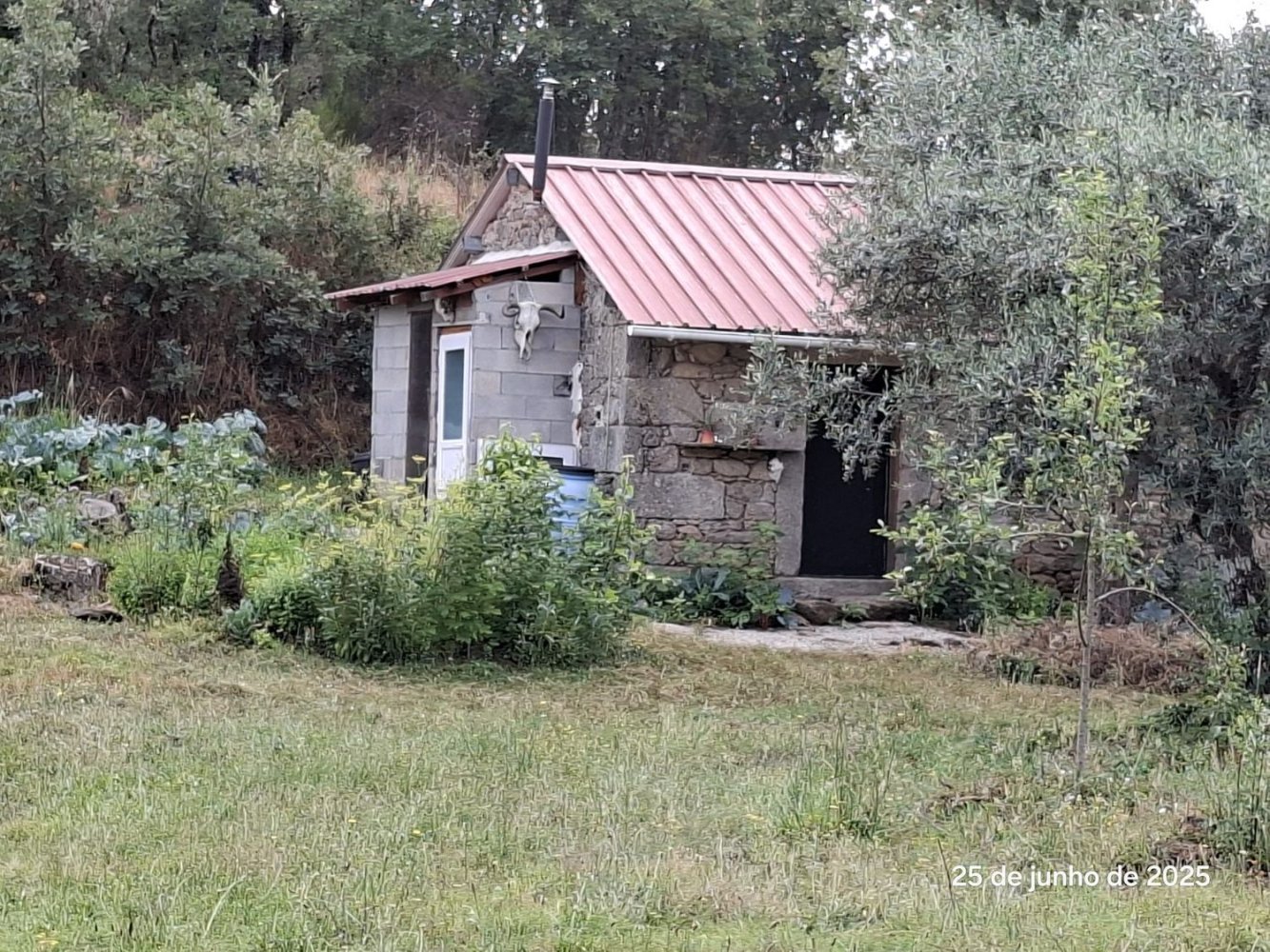 1 bedroom House in Idanha a Nova, Portugal No. 230046