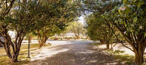 7 chambres Châteaux à Vila Nova de Gaia, Portugal No. 51005 6