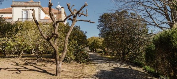 7 chambres Châteaux à Vila Nova de Gaia, Portugal No. 51005 4