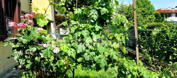 3 غرف نوم منزل في Torrevecchia Pia, Italy رقم 338054 4