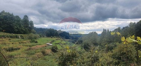 Grundstück in Borba de Montanha, Portugal 4260m², Nr. 43012